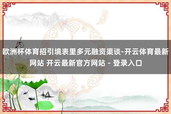 欧洲杯体育招引境表里多元融资渠谈-开云体育最新网站 开云最新官方网站 - 登录入口